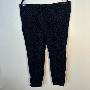 Torrid Pixie Skinny Studio Luxe Ponte High-Rise Flocked Print Pant 1X (14/16)